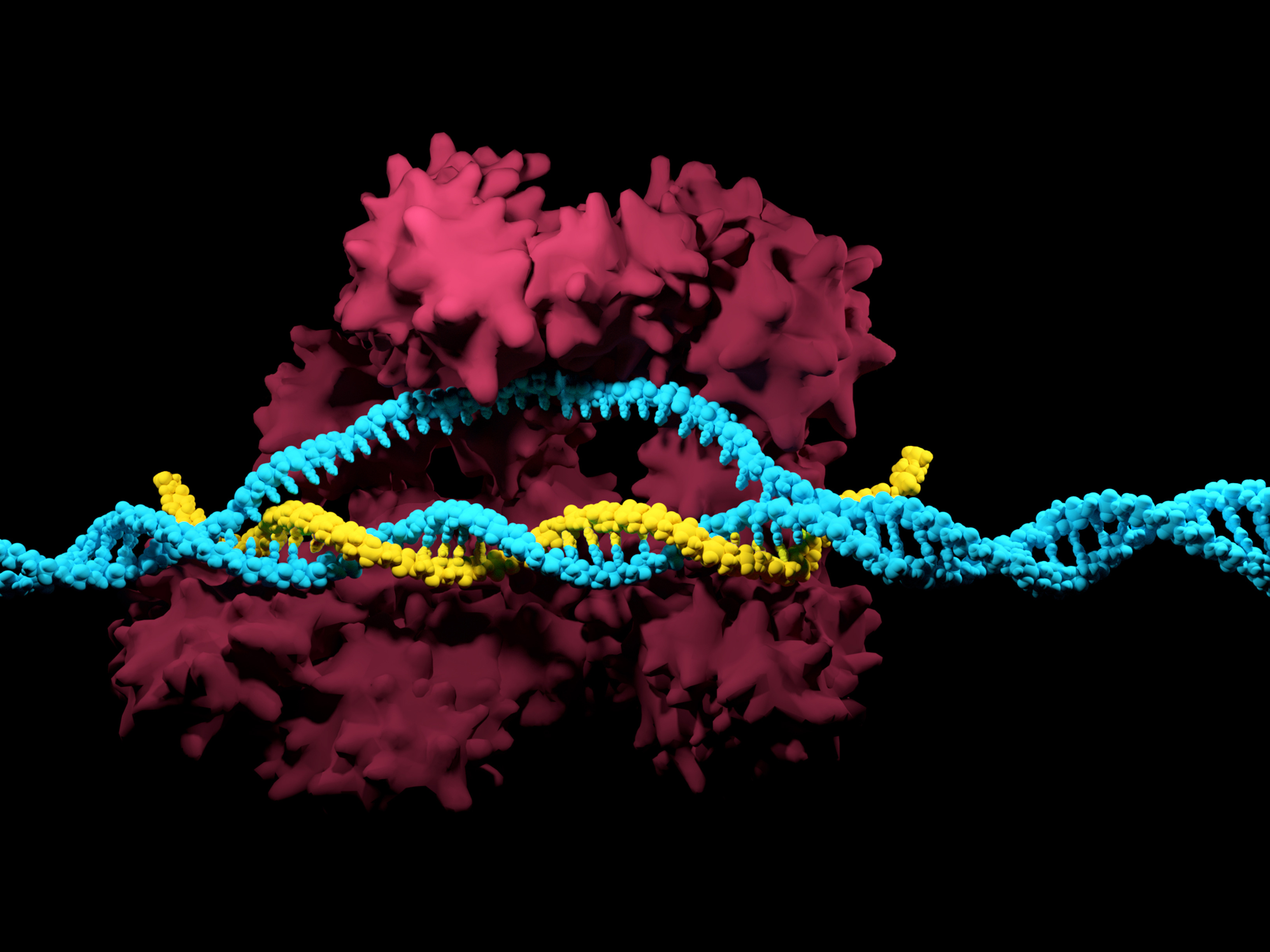CRISPR